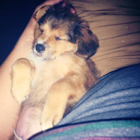 Meet your Posher, Fabian - Picture 1 of 1